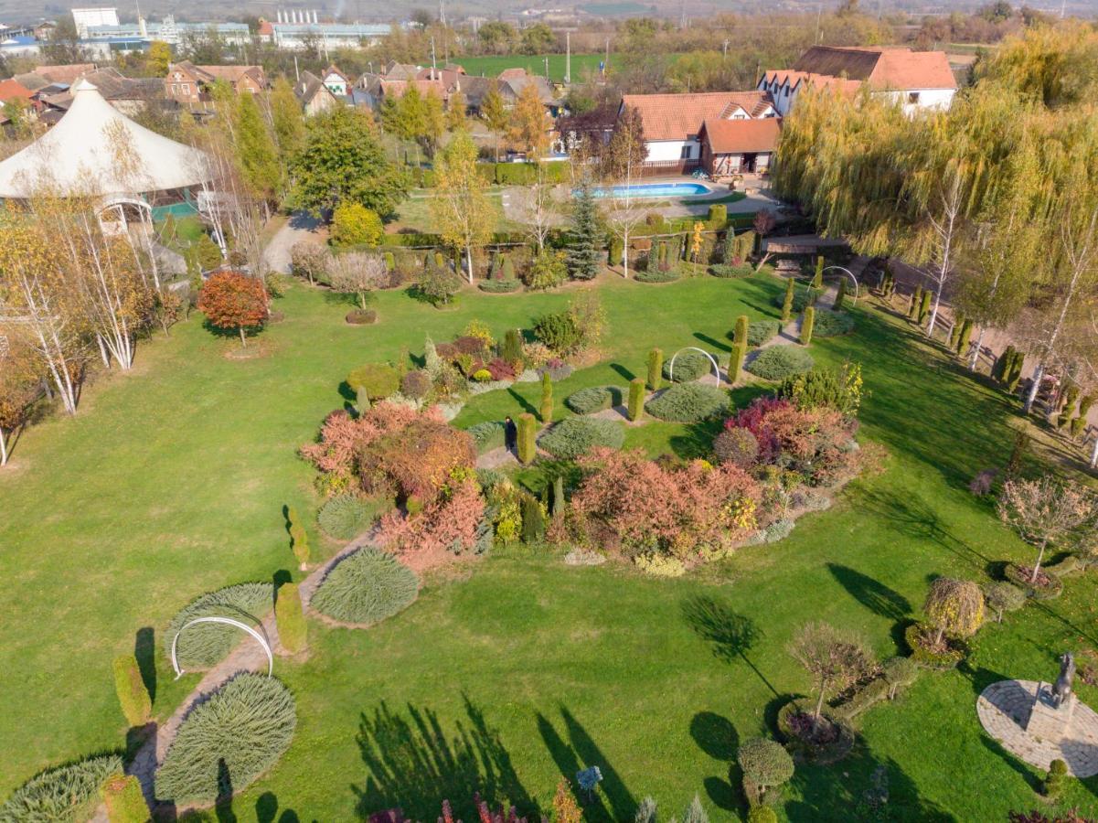Hotel Domeniul Dracula Daneş Zewnętrze zdjęcie