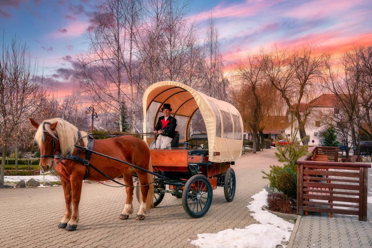 Hotel Domeniul Dracula Daneş Zewnętrze zdjęcie