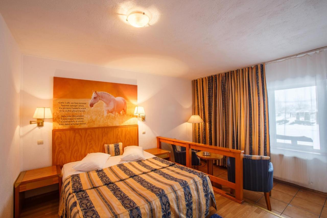 Hotel Domeniul Dracula Daneş Zewnętrze zdjęcie