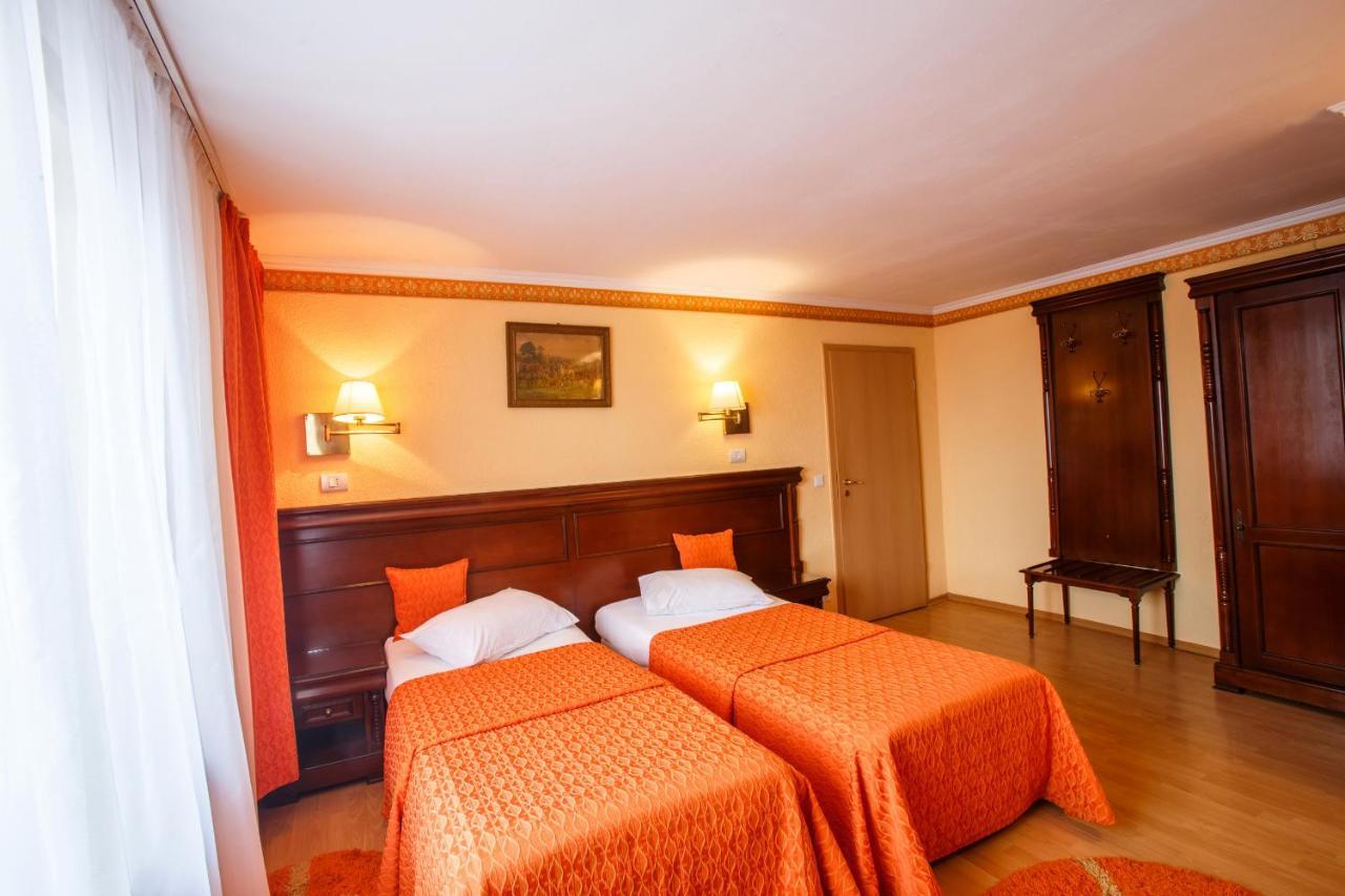 Hotel Domeniul Dracula Daneş Zewnętrze zdjęcie