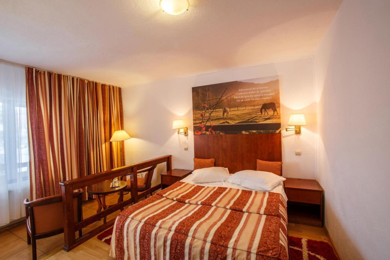 Hotel Domeniul Dracula Daneş Zewnętrze zdjęcie