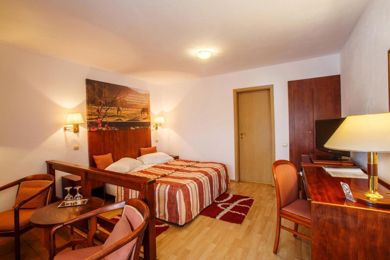 Hotel Domeniul Dracula Daneş Zewnętrze zdjęcie