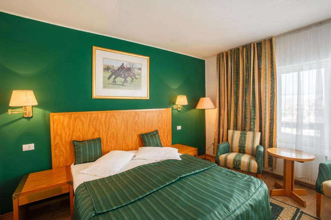 Hotel Domeniul Dracula Daneş Zewnętrze zdjęcie