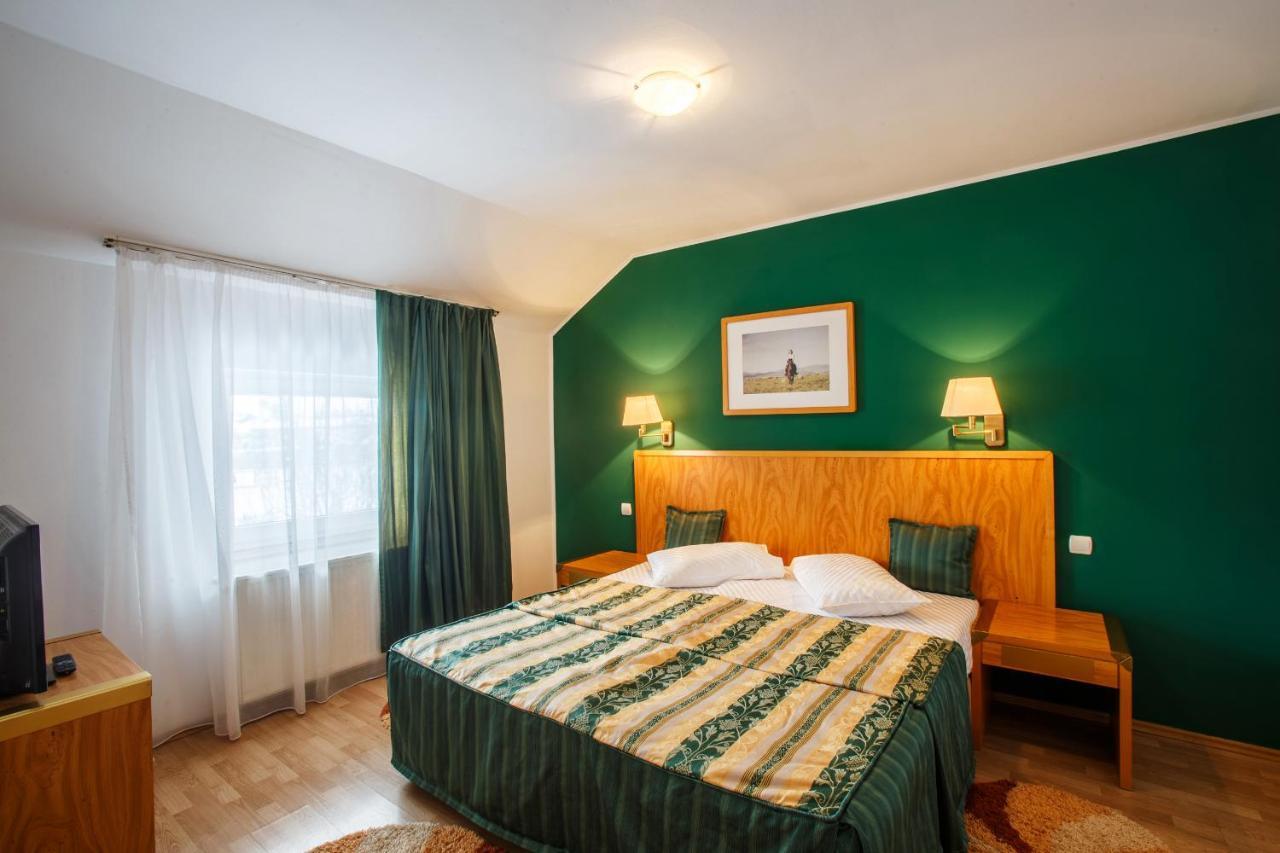 Hotel Domeniul Dracula Daneş Zewnętrze zdjęcie
