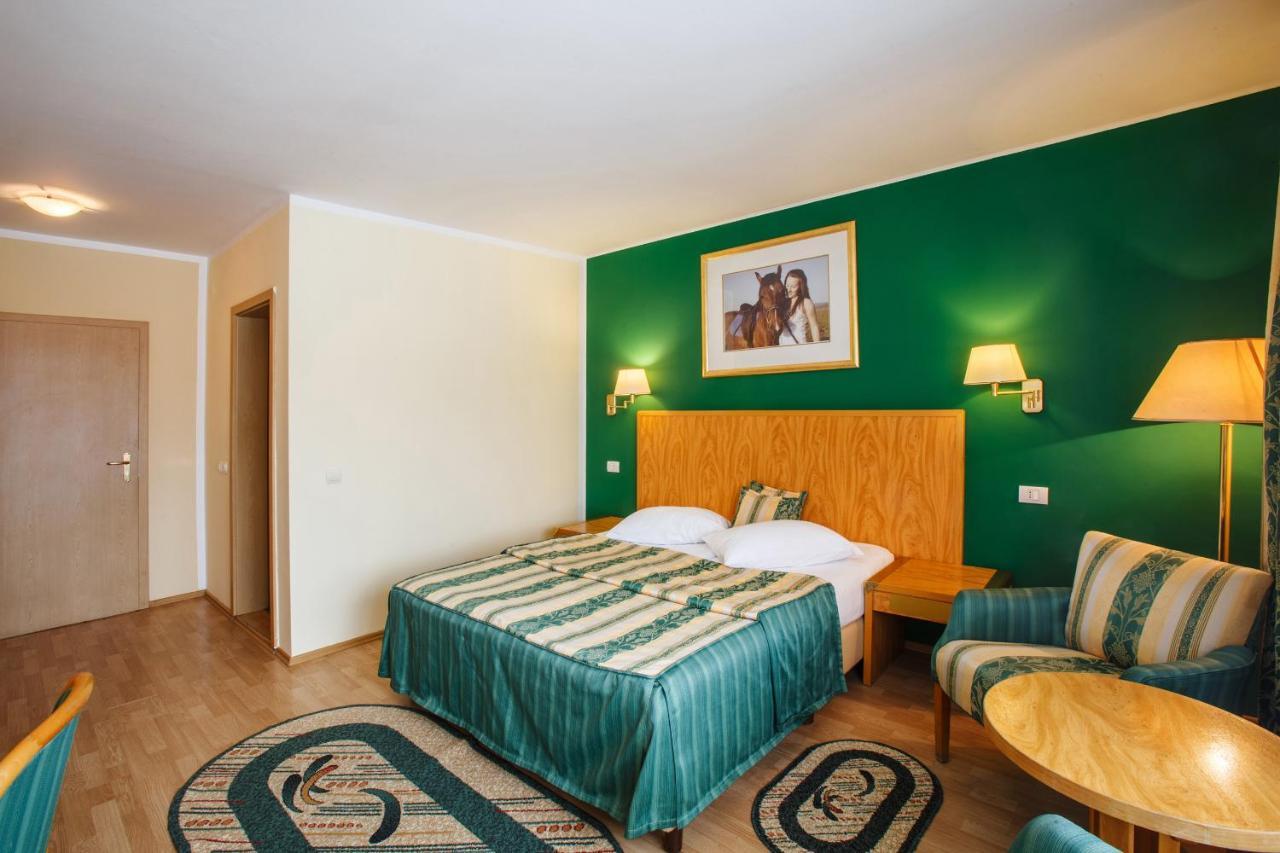 Hotel Domeniul Dracula Daneş Zewnętrze zdjęcie