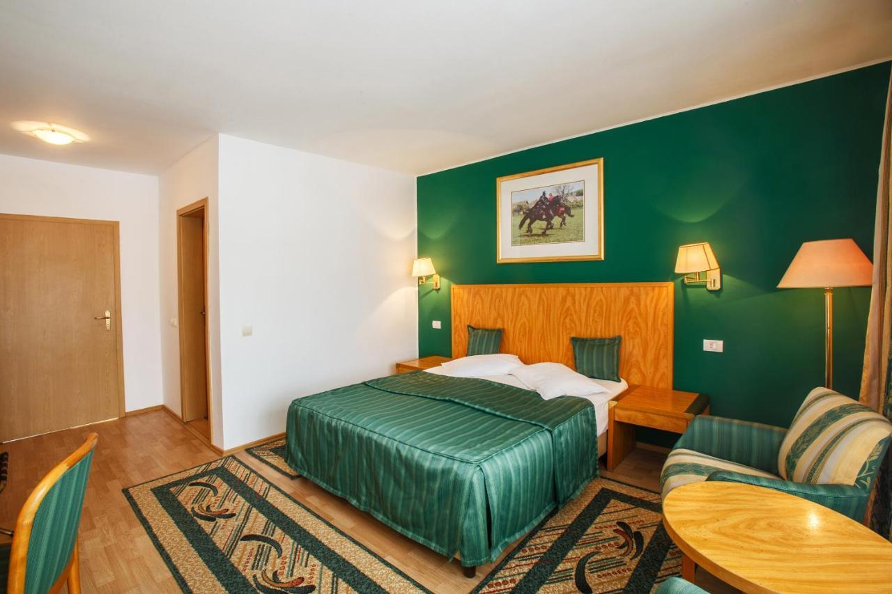 Hotel Domeniul Dracula Daneş Zewnętrze zdjęcie